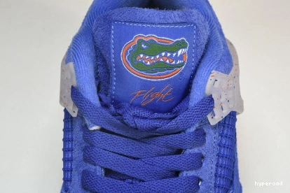 Hyperoad Jordan Air Gators